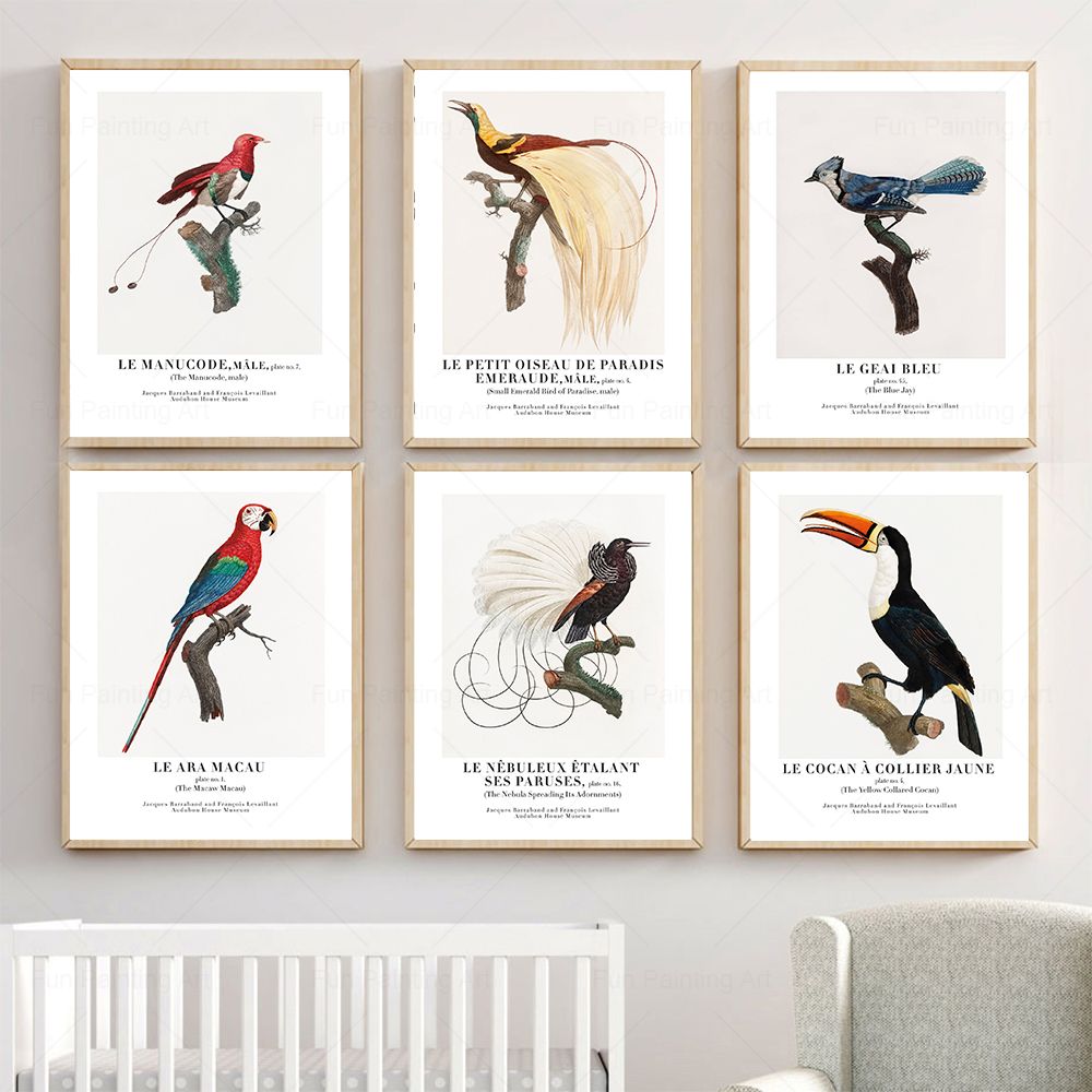 Furniture Paradise & Hardware Ghaziabad - Vintage Paradise Bird Wall Art Canvas